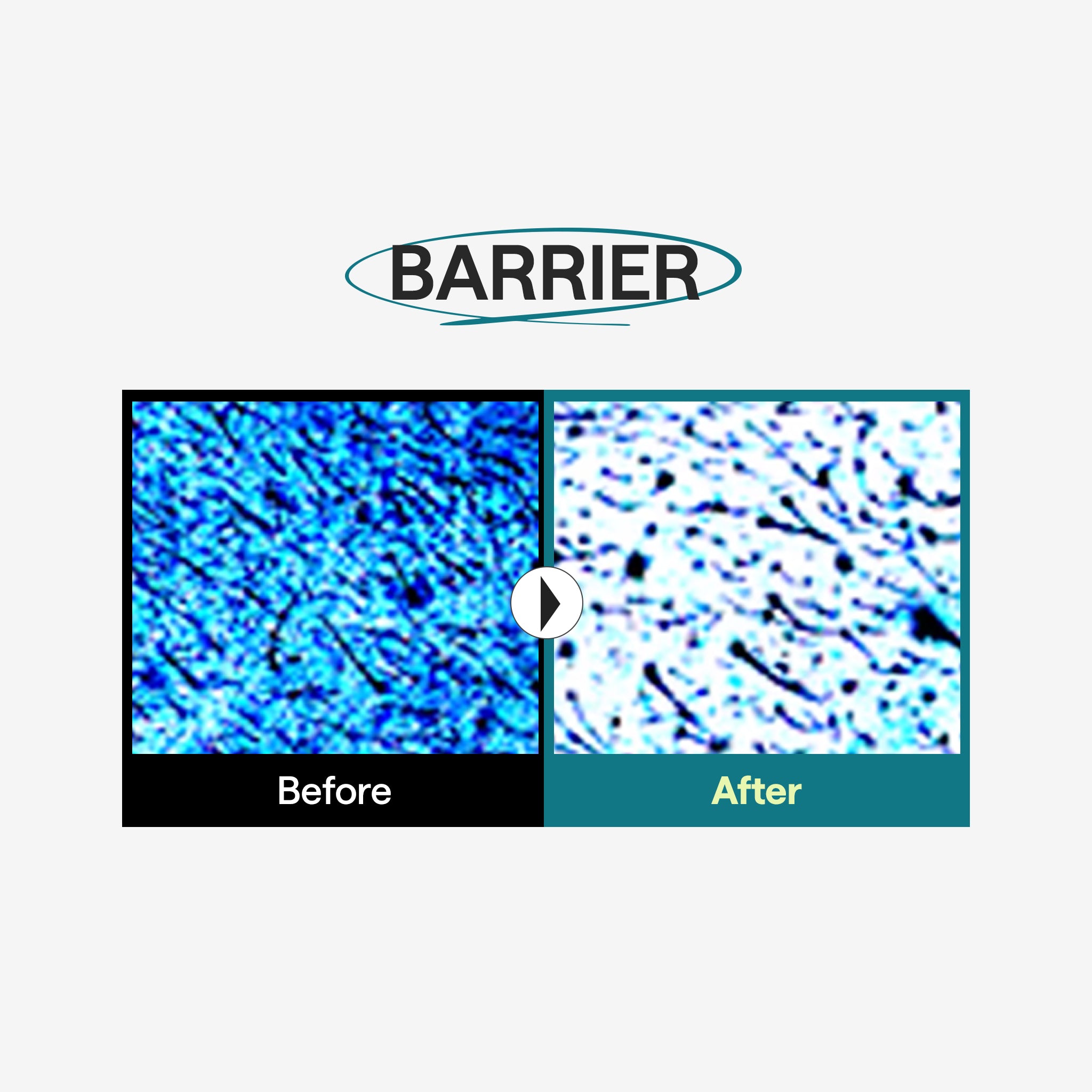 Brand before/after skin-moisture comparison.